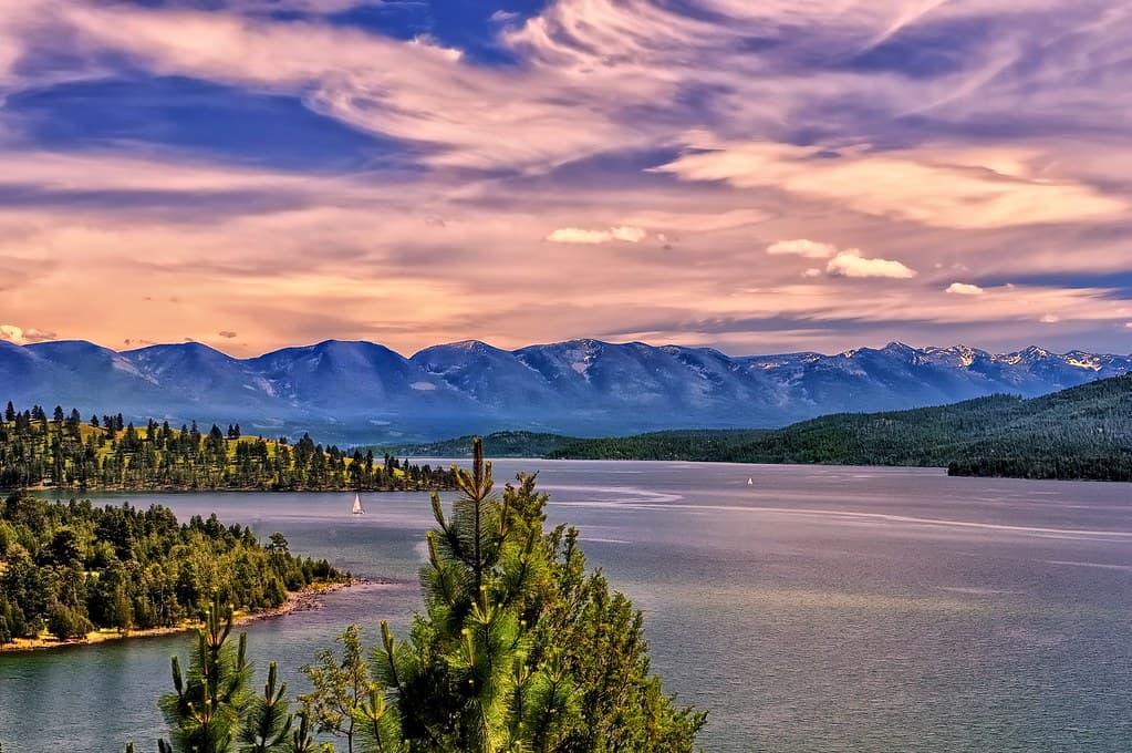 View of Woods Bay, Montana